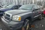 Photo of 2006 Dodge Dakota