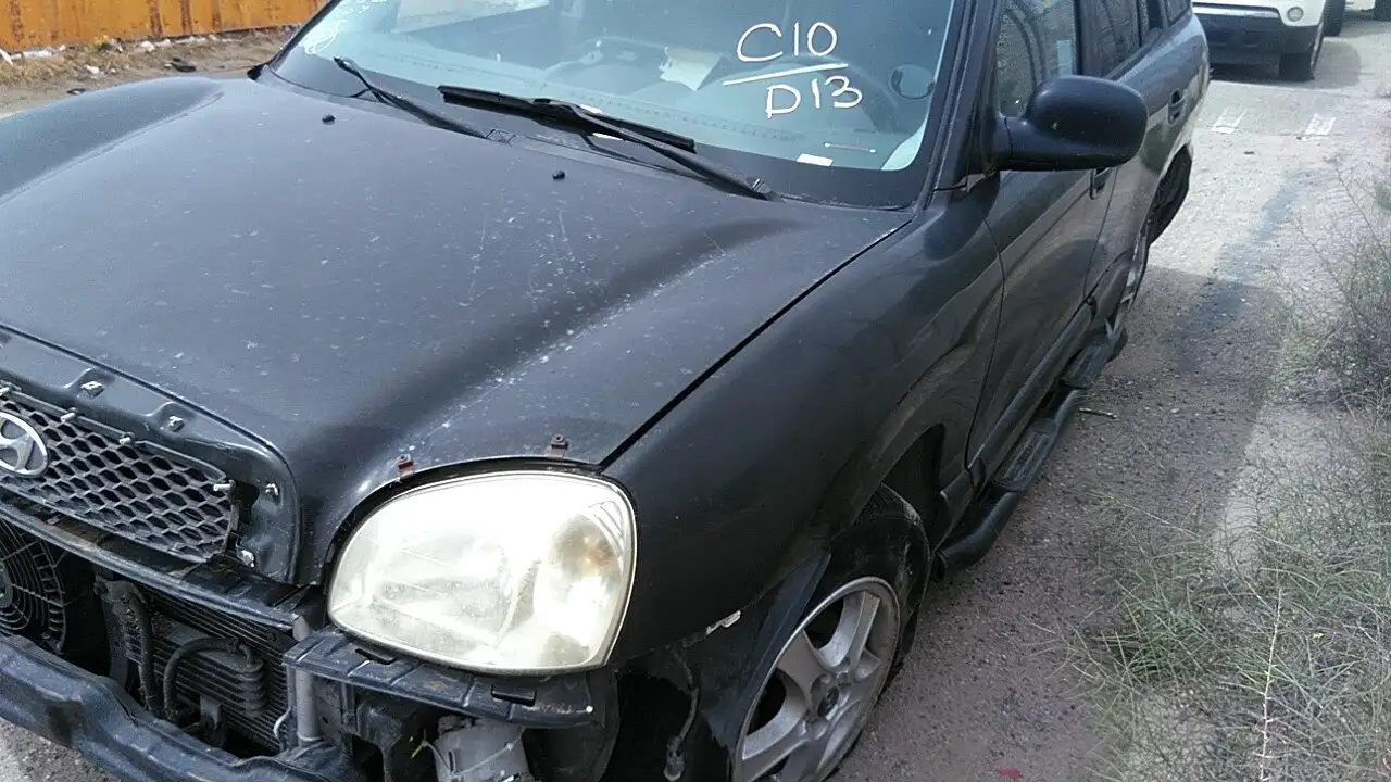 Photo of 2001 Hyundai Santa Fe