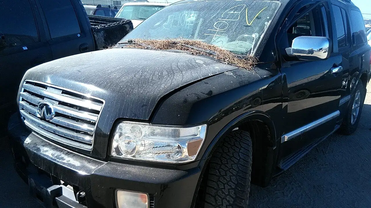 Photo of 2006 Infiniti Qx56