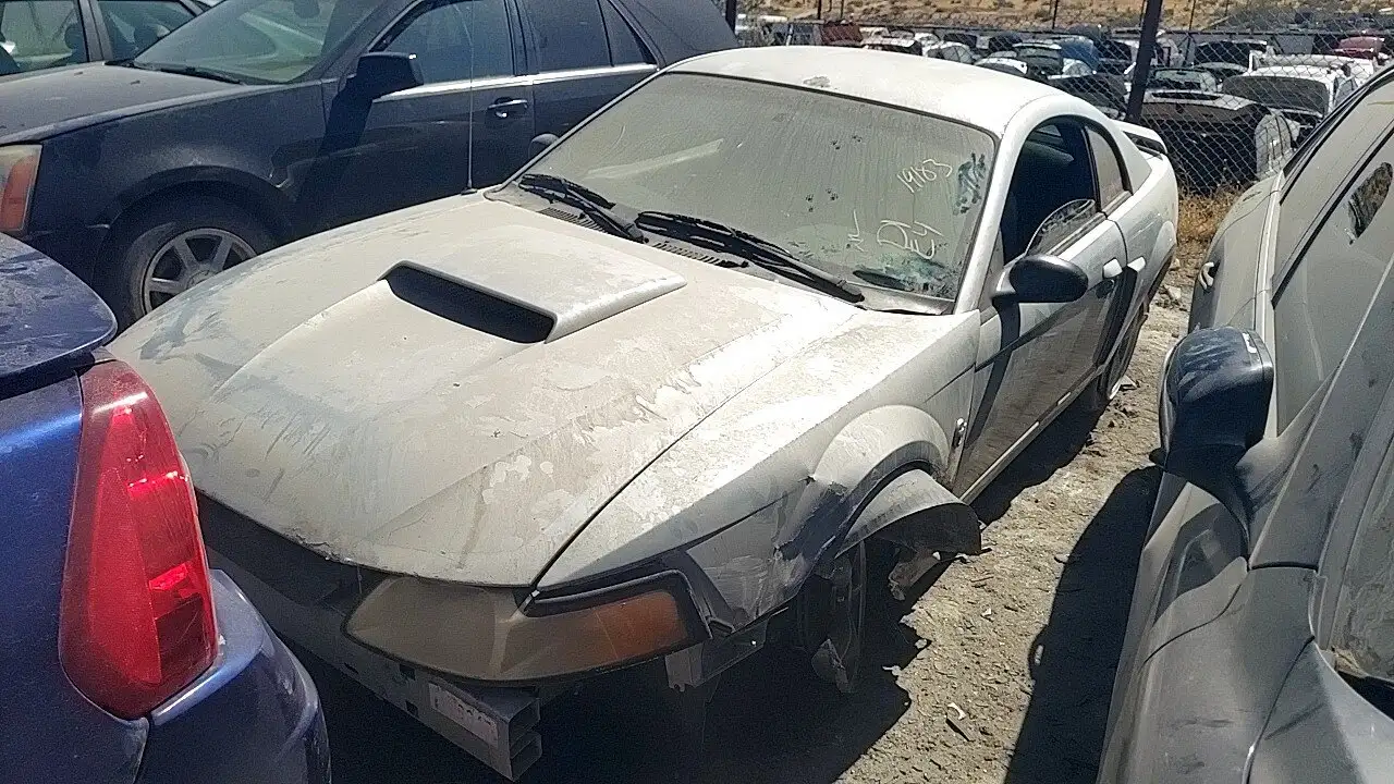 Photo of 2004 Ford Mustang