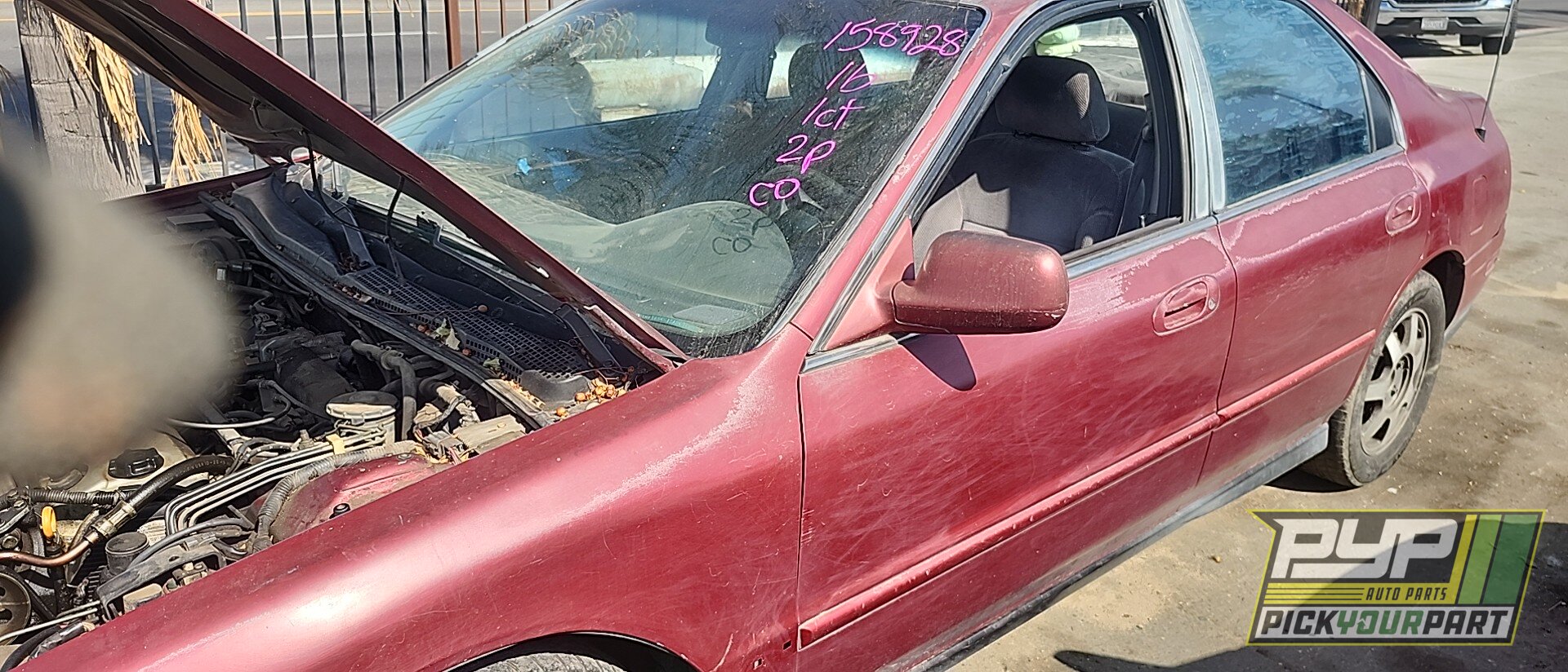 Photo of 1995 Honda Accord