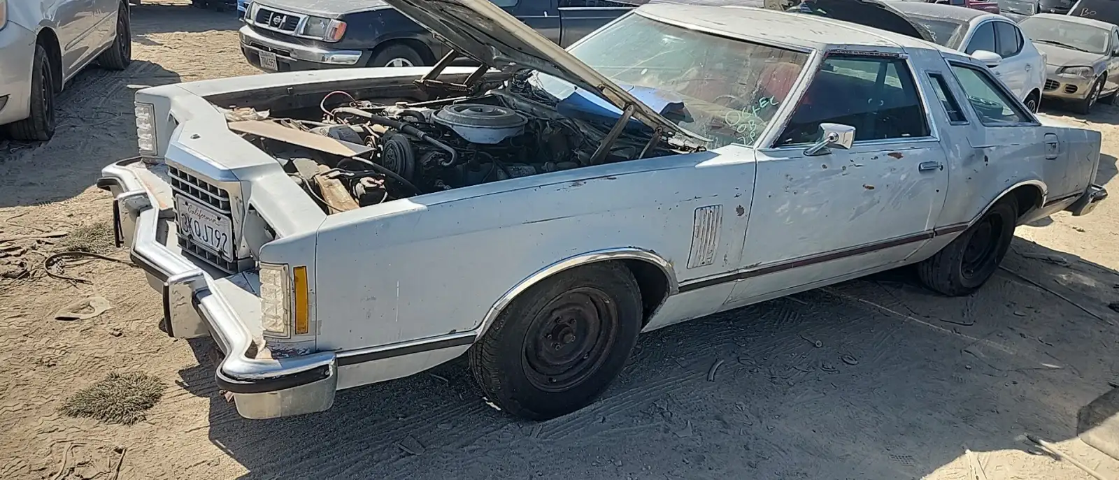 Photo of 1979 Ford Thunderbird