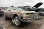 Photo of 1984 Cadillac Seville