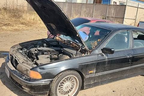 Photo of 1999 Bmw 528I