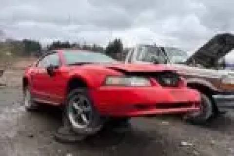 Photo of 2001 Ford Mustang