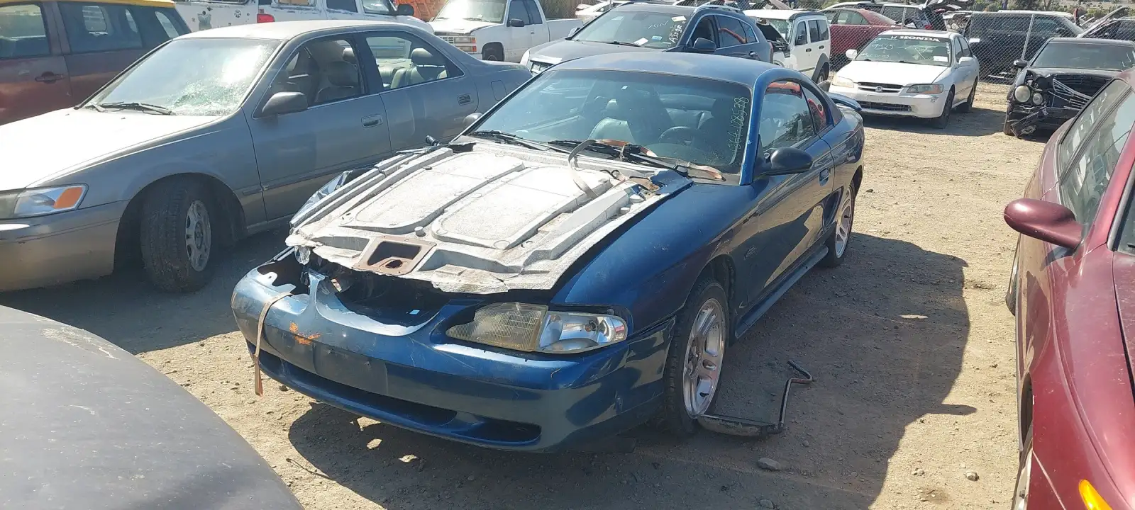 Photo of 1998 Ford Mustang