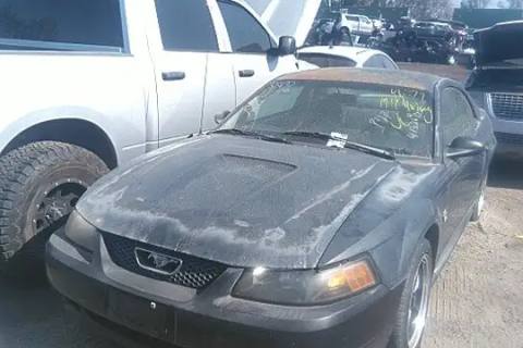 Photo of 1999 Ford Mustang