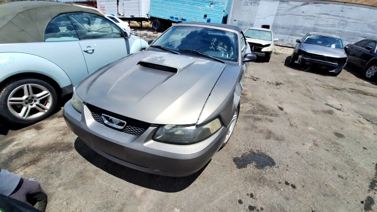 Photo of 2001 Ford Mustang