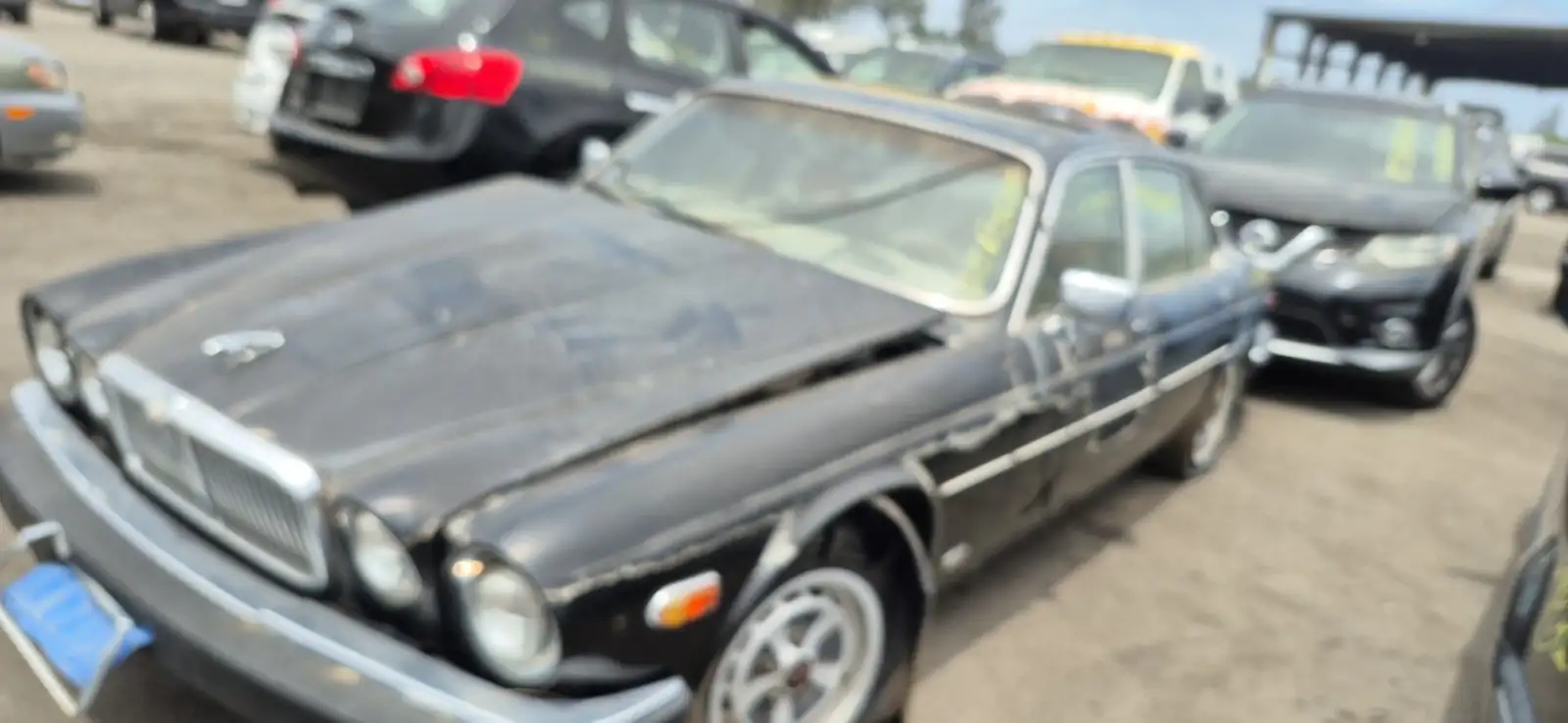 Photo of 1984 Jaguar Xj-Series