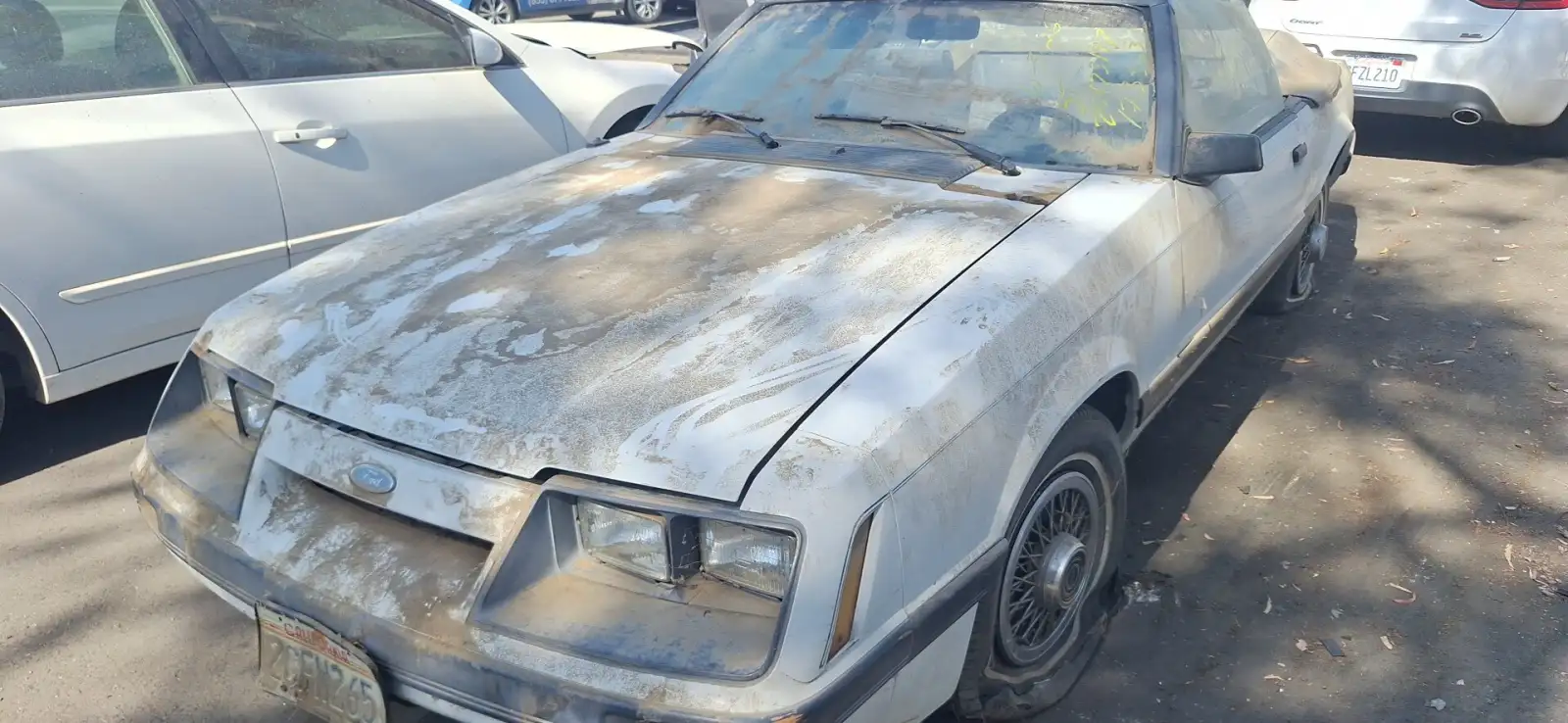 Photo of 1986 Ford Mustang