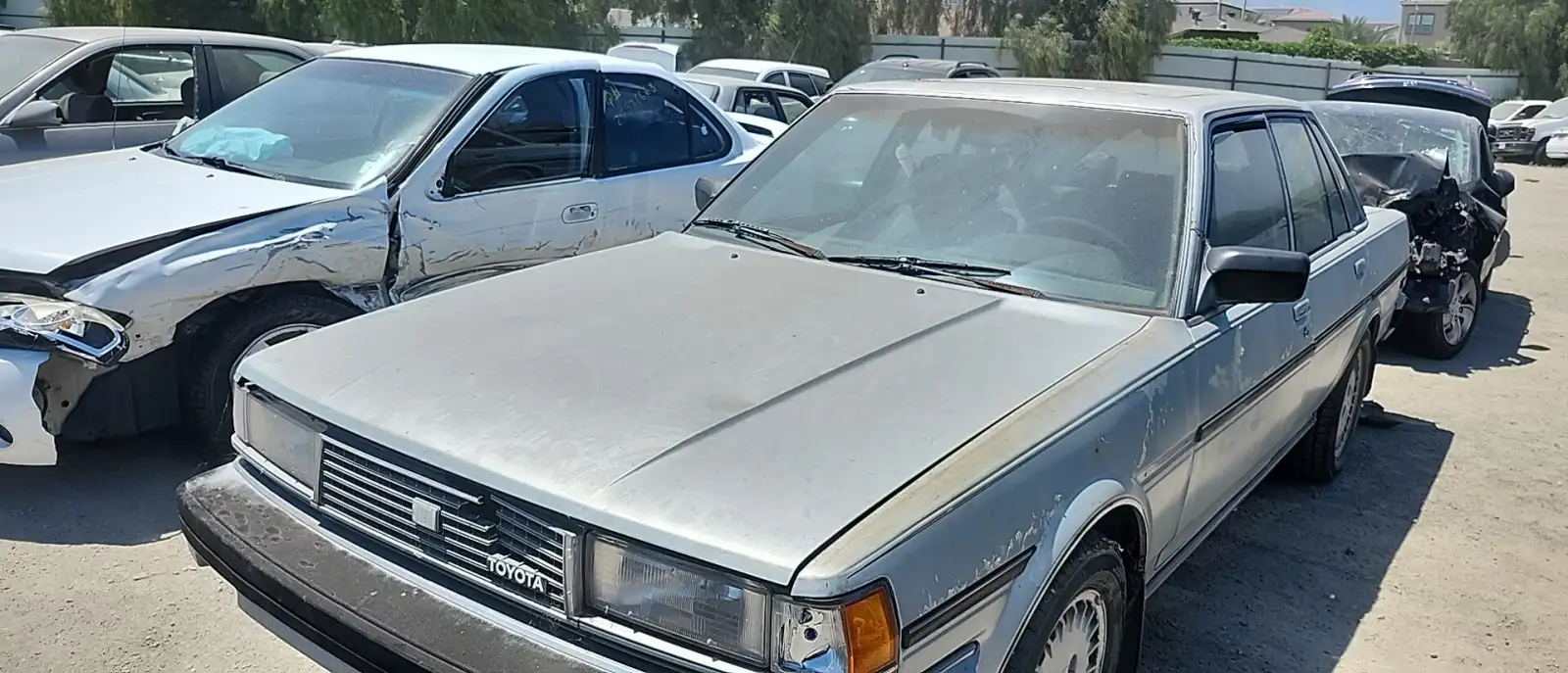 Photo of 1985 Toyota Cressida