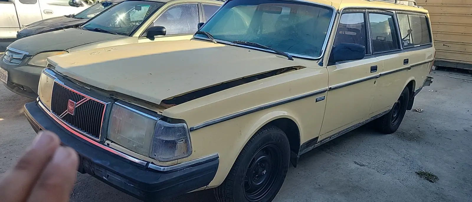 Photo of 1986 Volvo 244