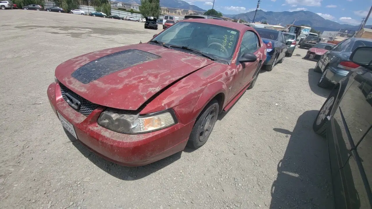 Photo of 2000 Ford Mustang