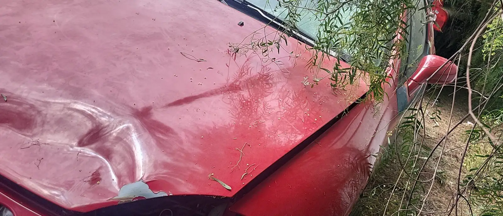 Photo of 1994 Honda Civic Del Sol