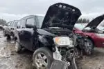 Photo of 2005 Honda Element