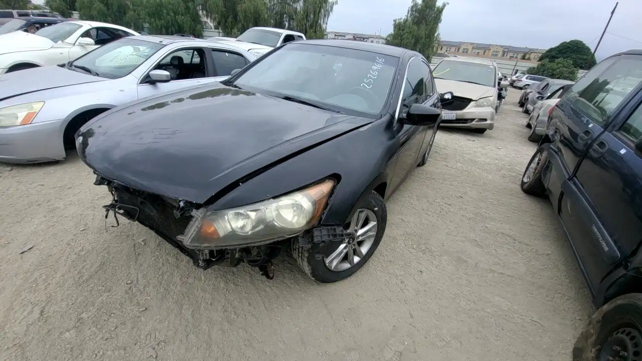 Photo of 2010 Honda Accord