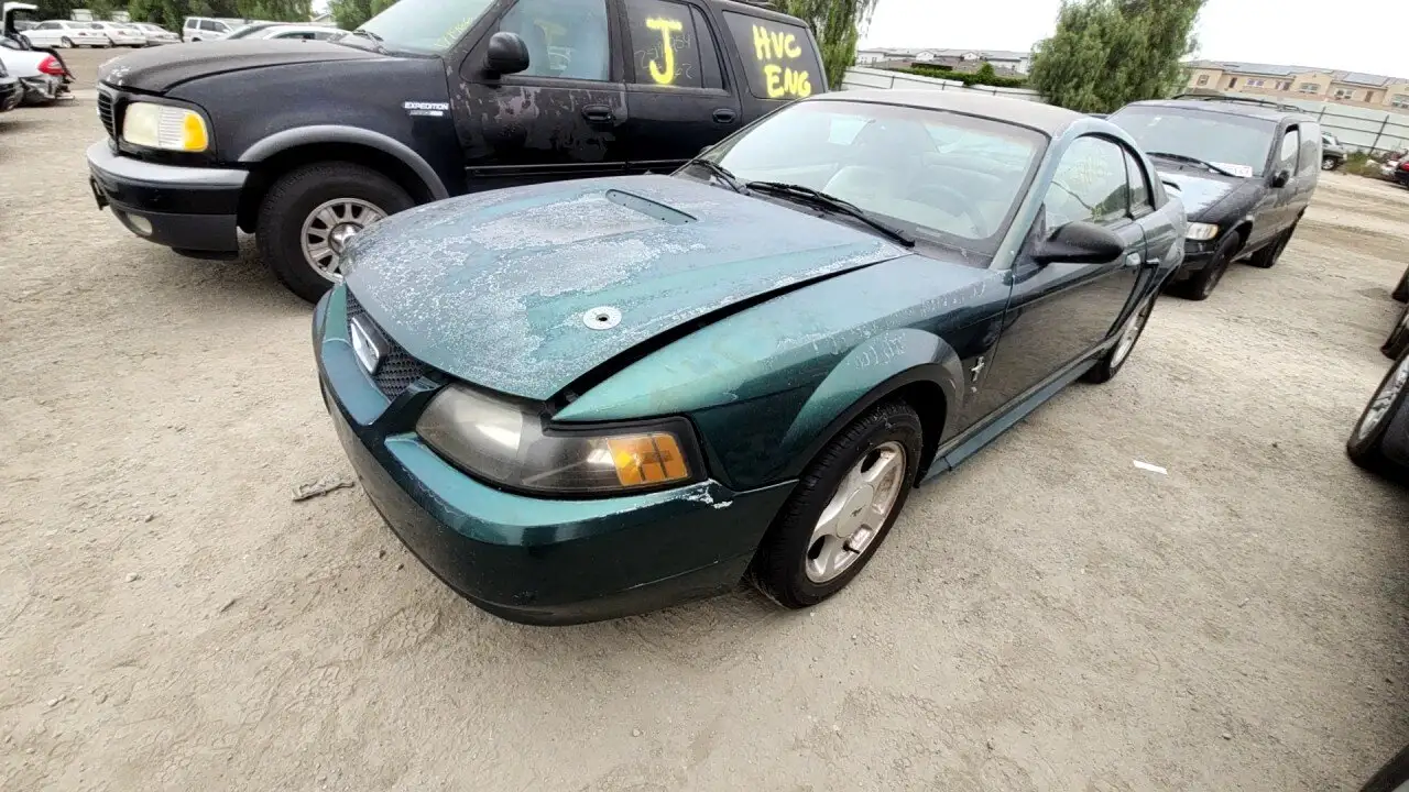 Photo of 2001 Ford Mustang