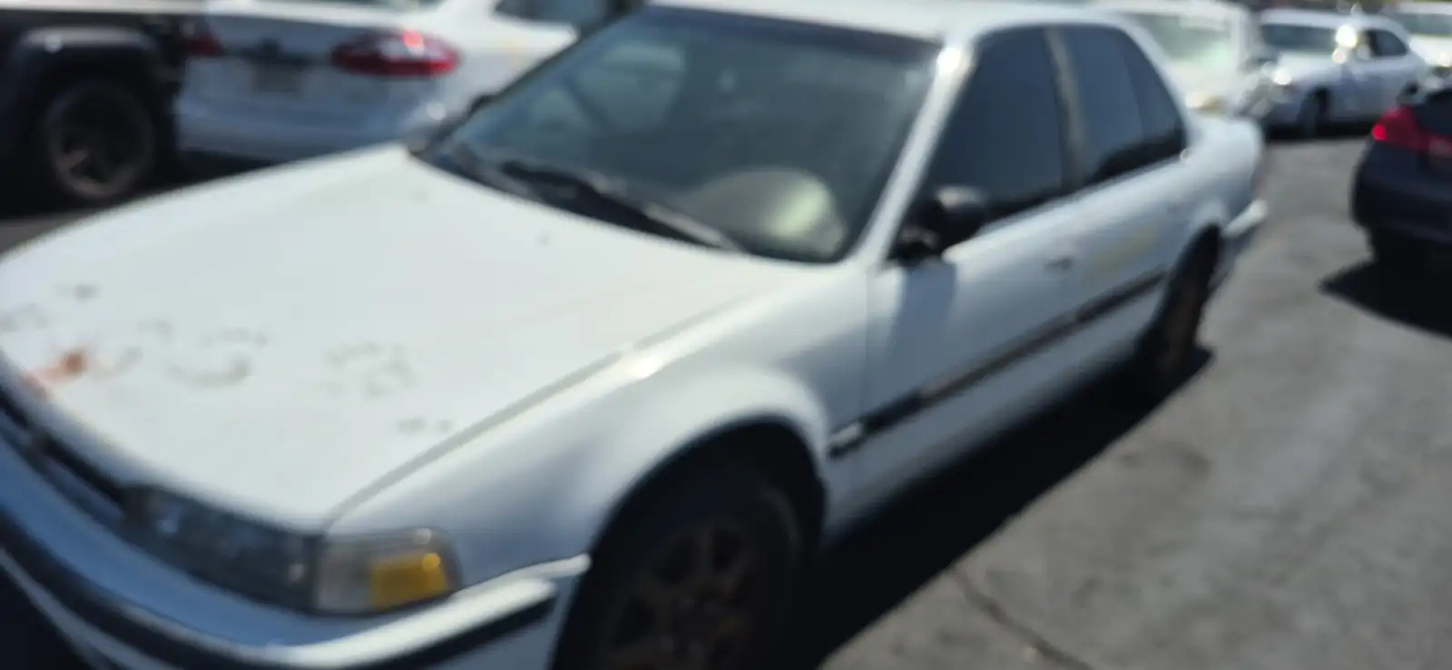 Photo of 1990 Honda Accord