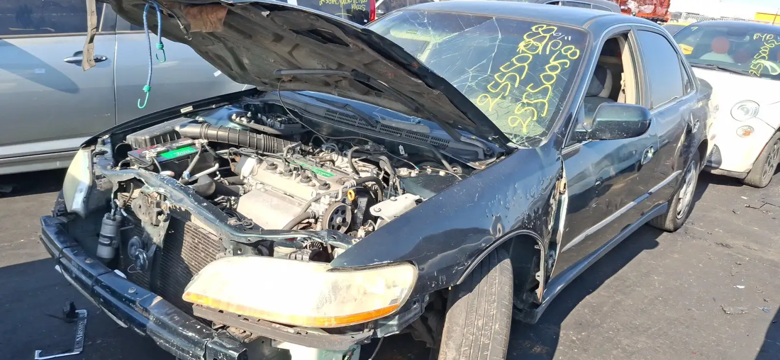 Photo of 1999 Honda Accord