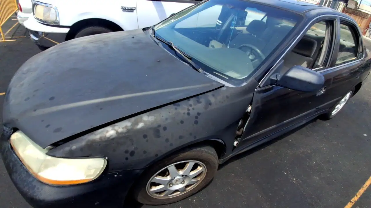 Photo of 2002 Honda Accord