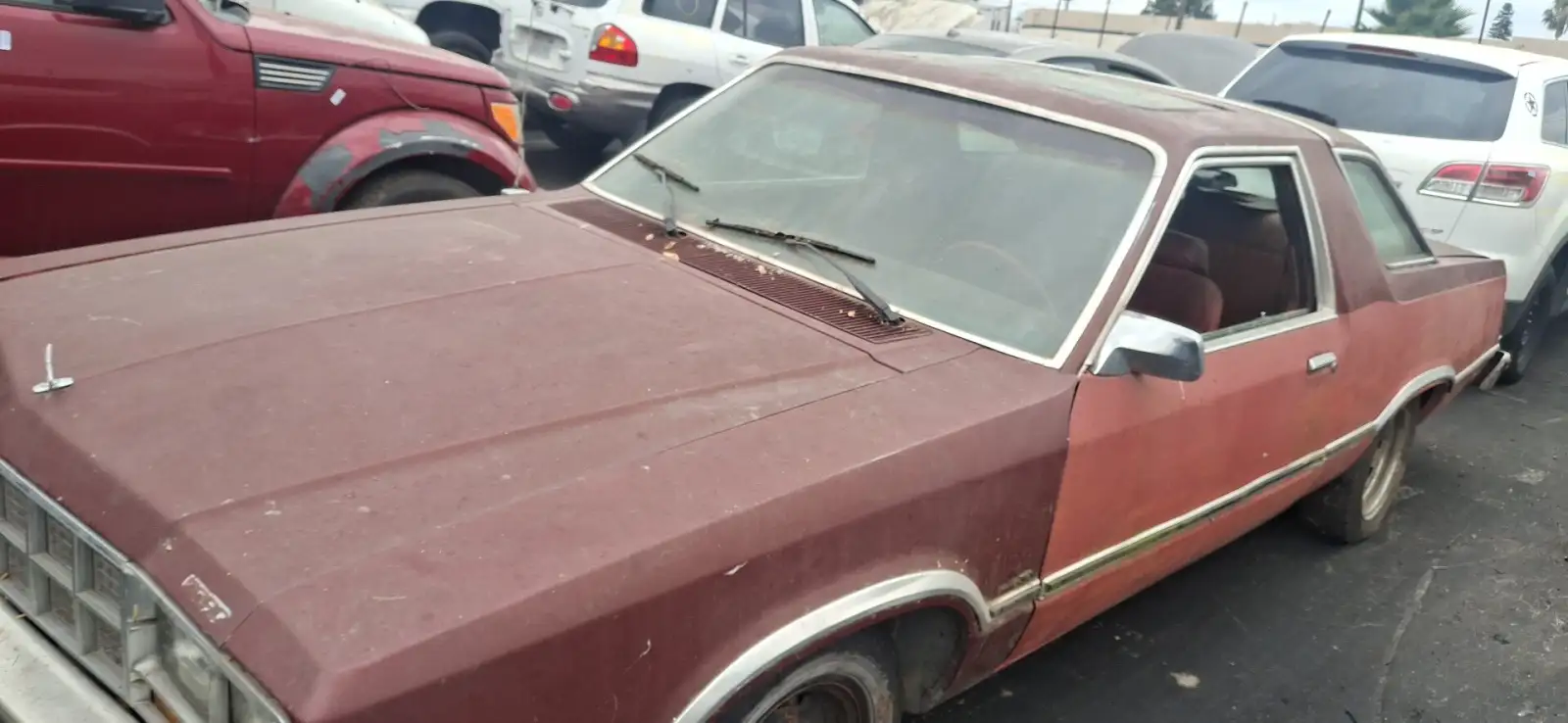 Photo of 1979 Ford Ltd