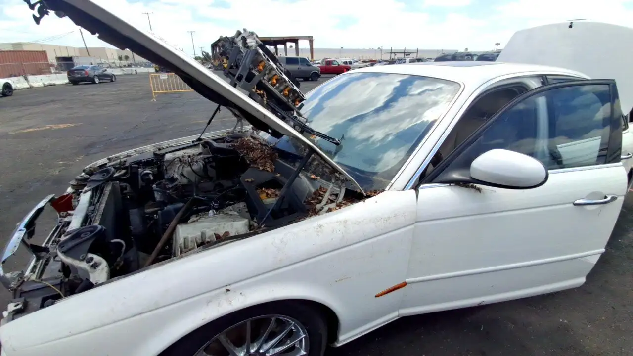 Photo of 2004 Jaguar Xj8