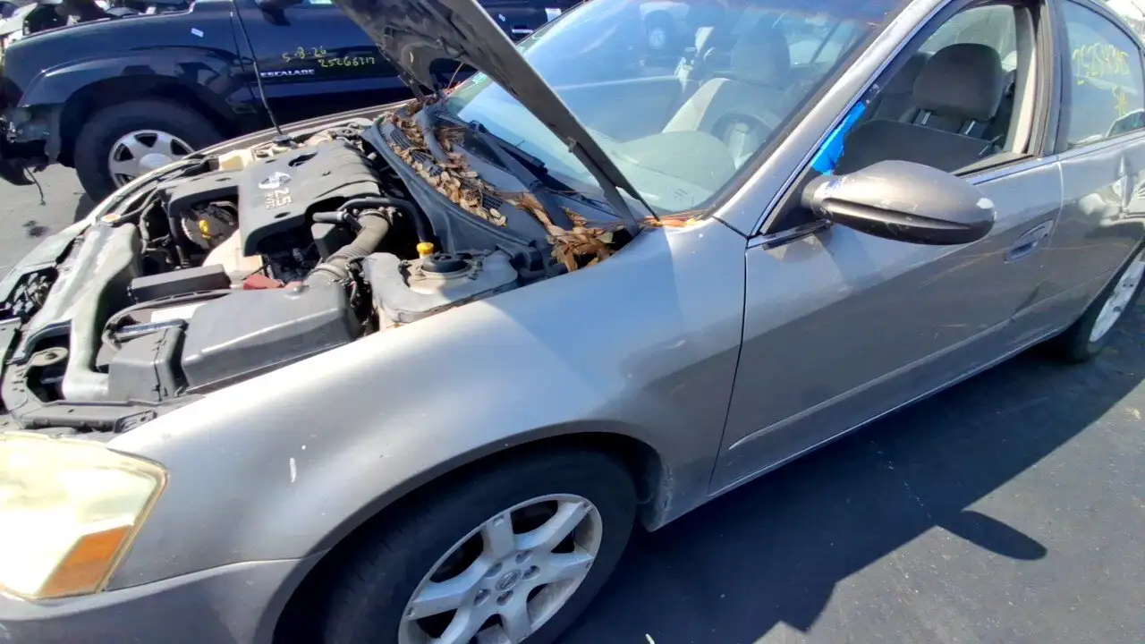Photo of 2005 Nissan Altima