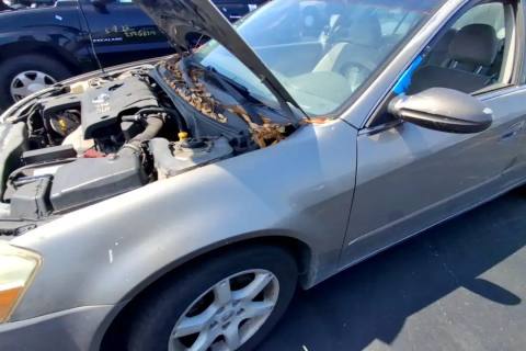 Photo of 2005 Nissan Altima