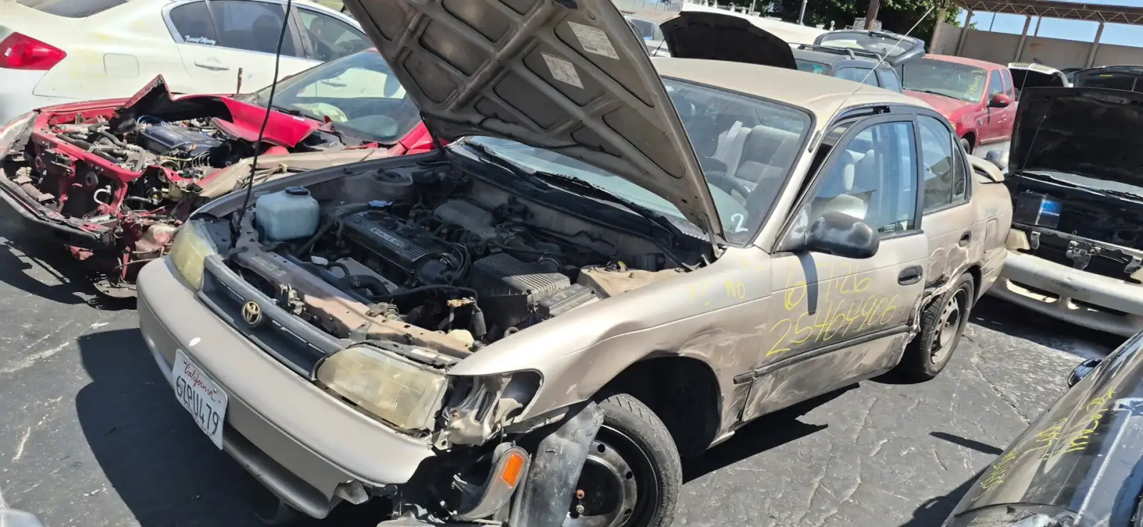 Photo of 1994 Toyota Corolla