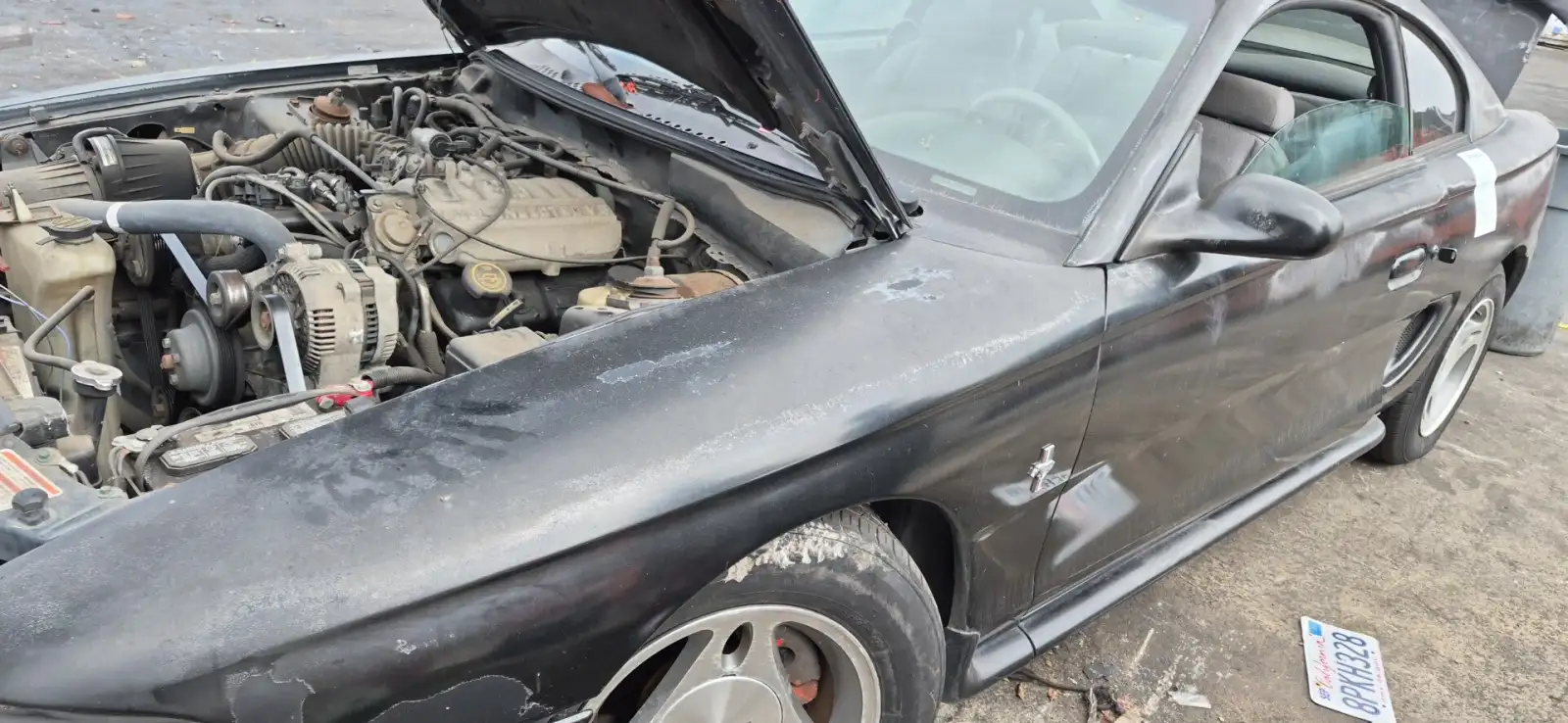Photo of 1998 Ford Mustang