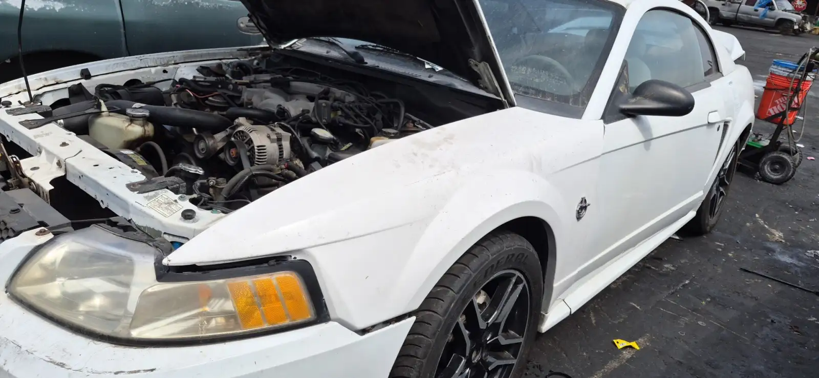 Photo of 1999 Ford Mustang