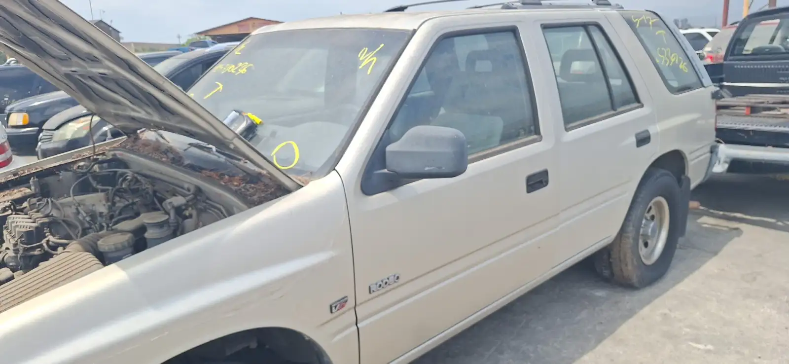 Photo of 1995 Isuzu Rodeo
