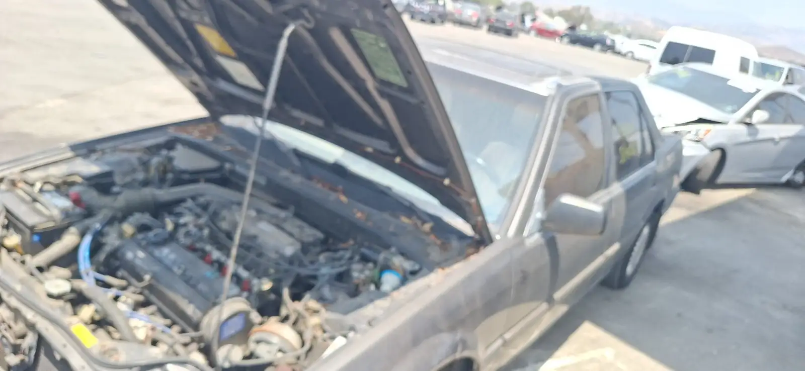Photo of 1987 Honda Accord