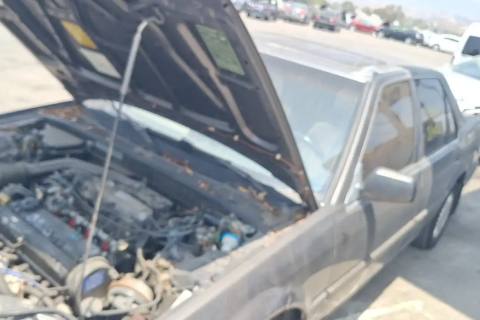 Photo of 1987 Honda Accord