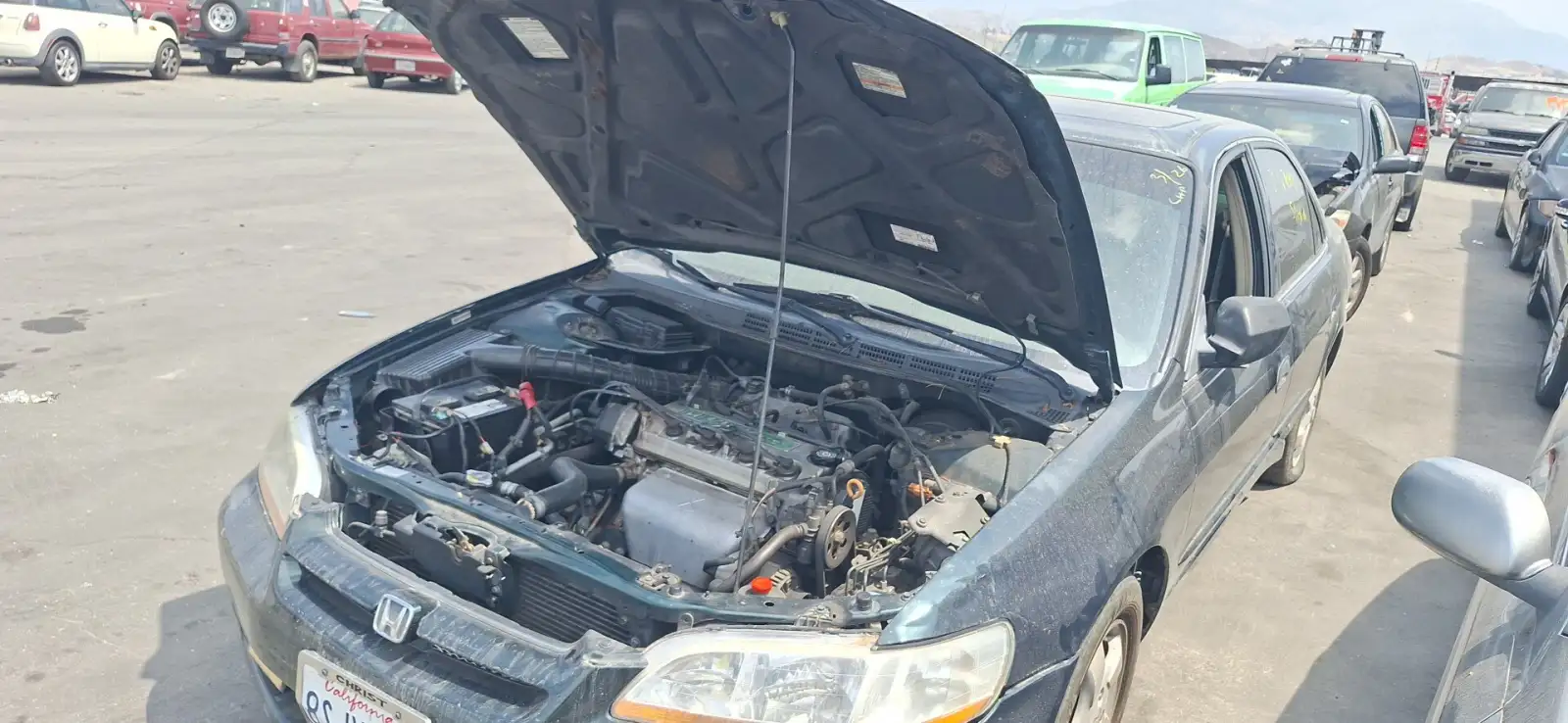 Photo of 1999 Honda Accord