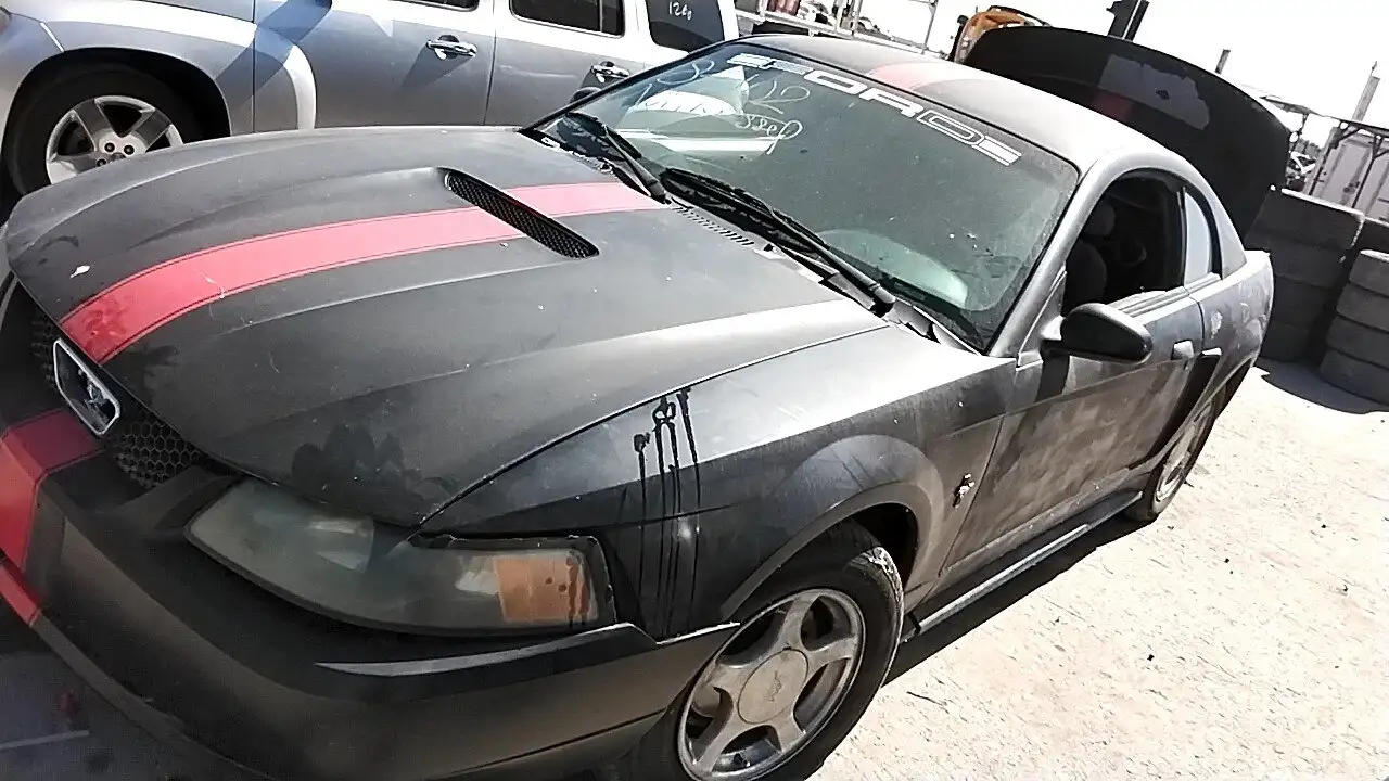 Photo of 2001 Ford Mustang