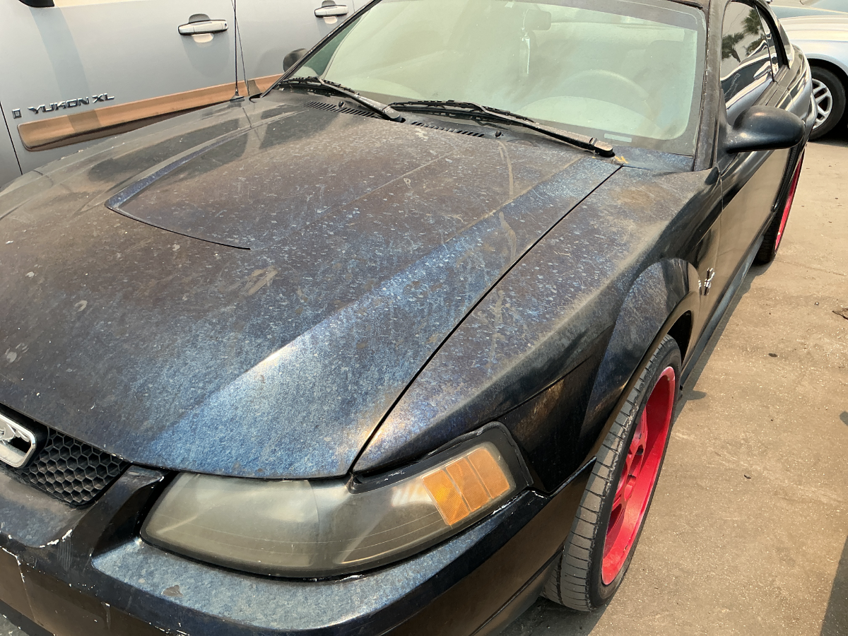 Photo of 2003 Ford Mustang