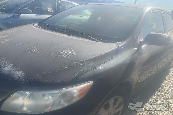 Photo of 2010 Toyota Corolla