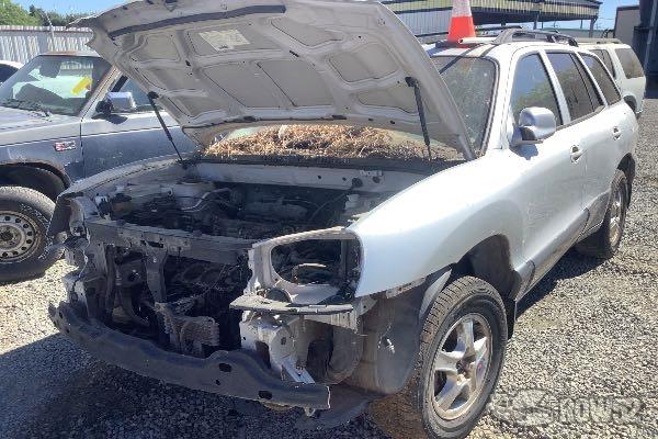 Photo of 2002 Hyundai Santa Fe