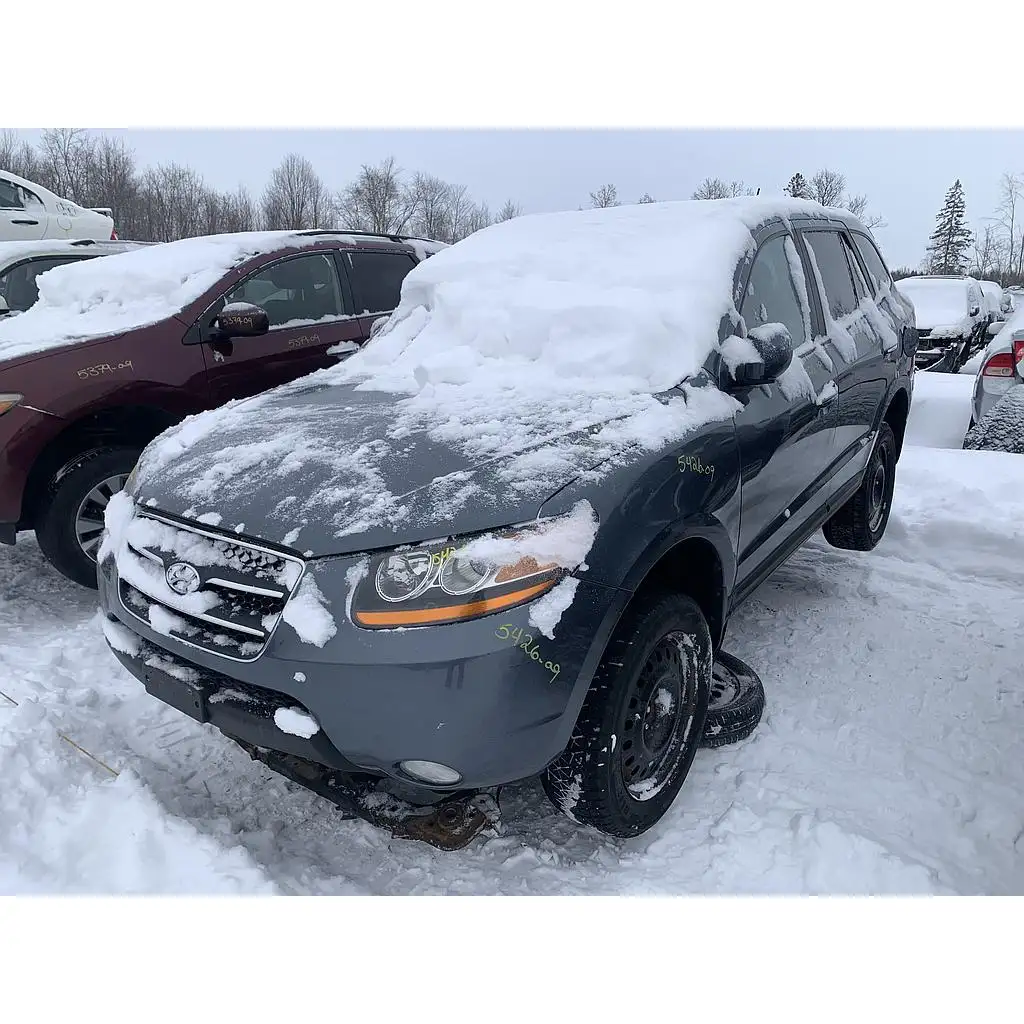 Photo of 2009 Hyundai Santa Fe