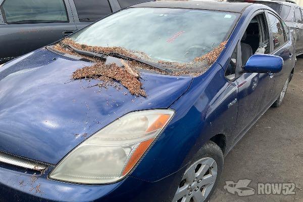 Photo of 2008 Toyota Prius