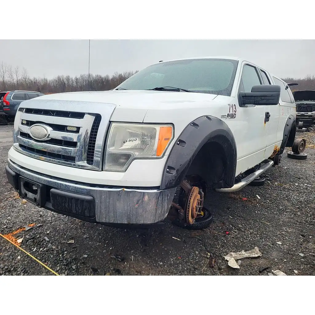 Photo of 2009 Ford F-150