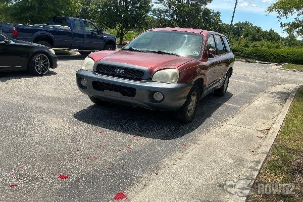 Photo of 2004 Hyundai Santa Fe