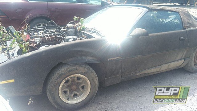 Photo of 1992 Pontiac Firebird