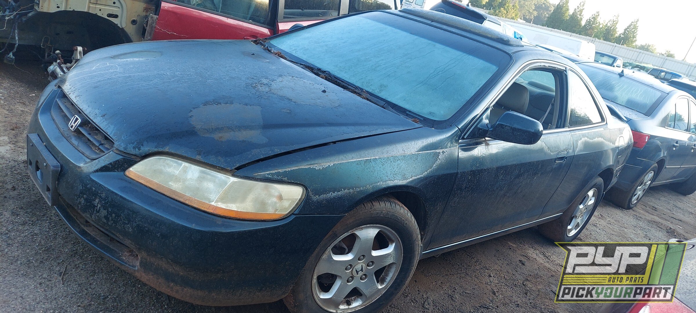 Photo of 1999 Honda Accord