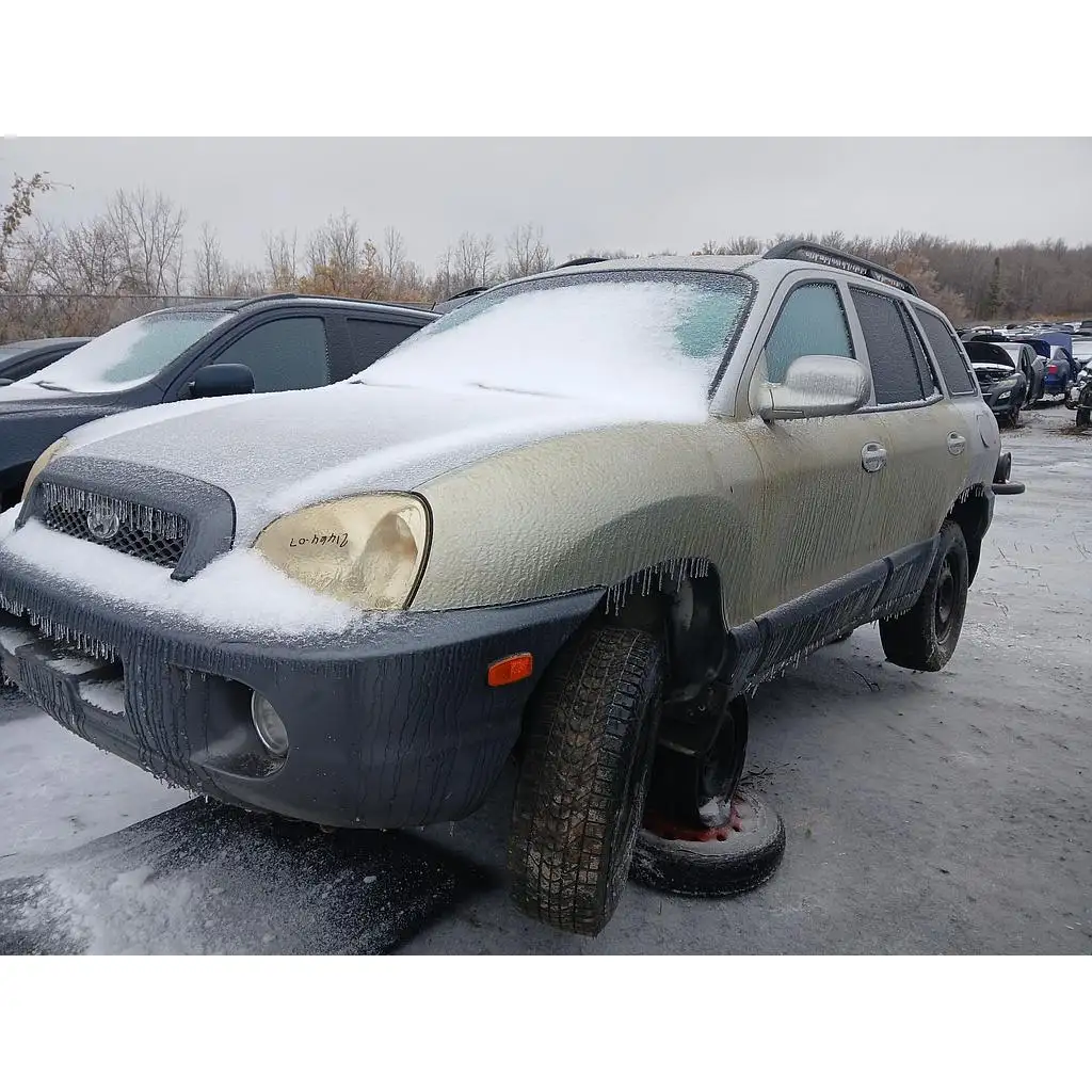 Photo of 2001 Hyundai Santa Fe