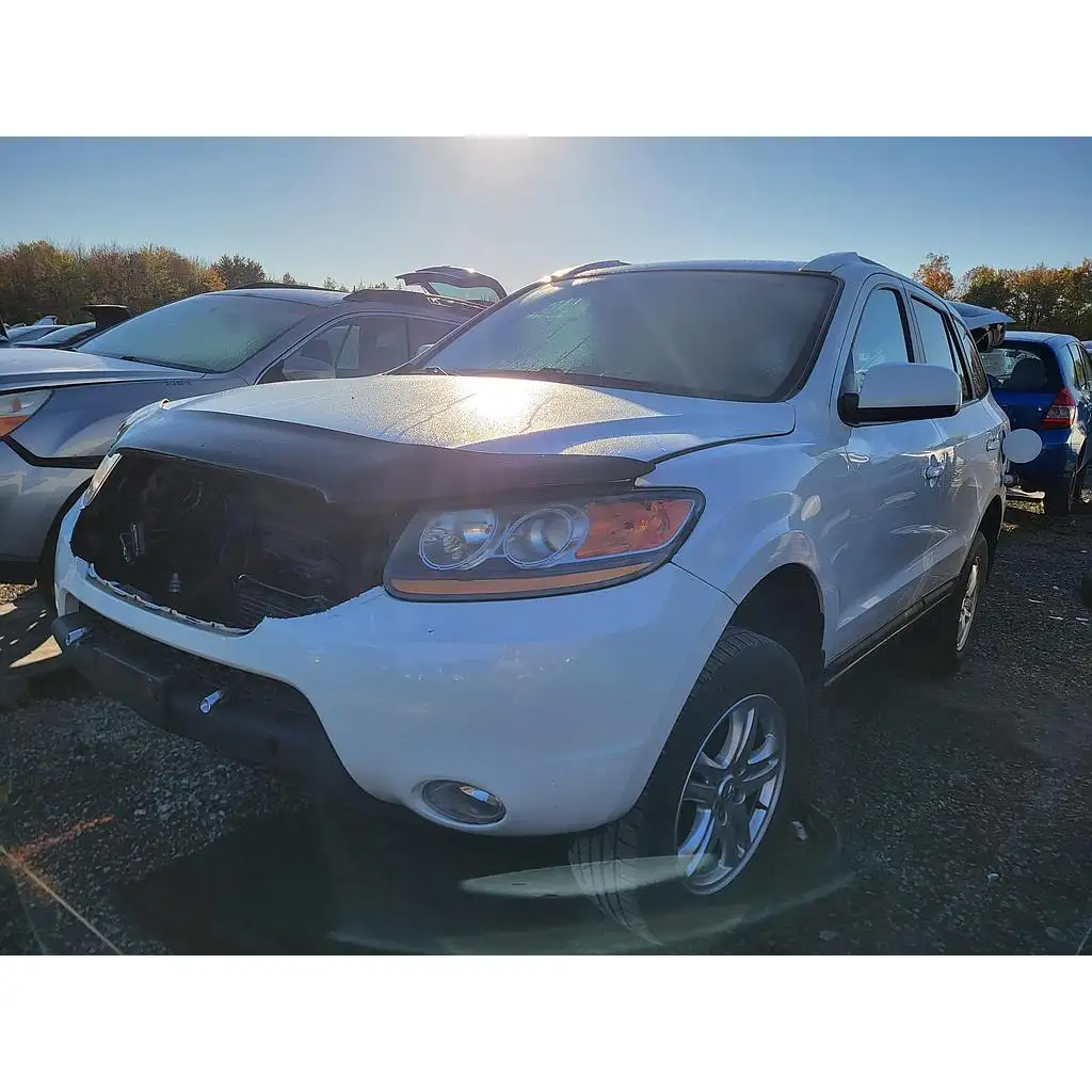 Photo of 2009 Hyundai Santa Fe