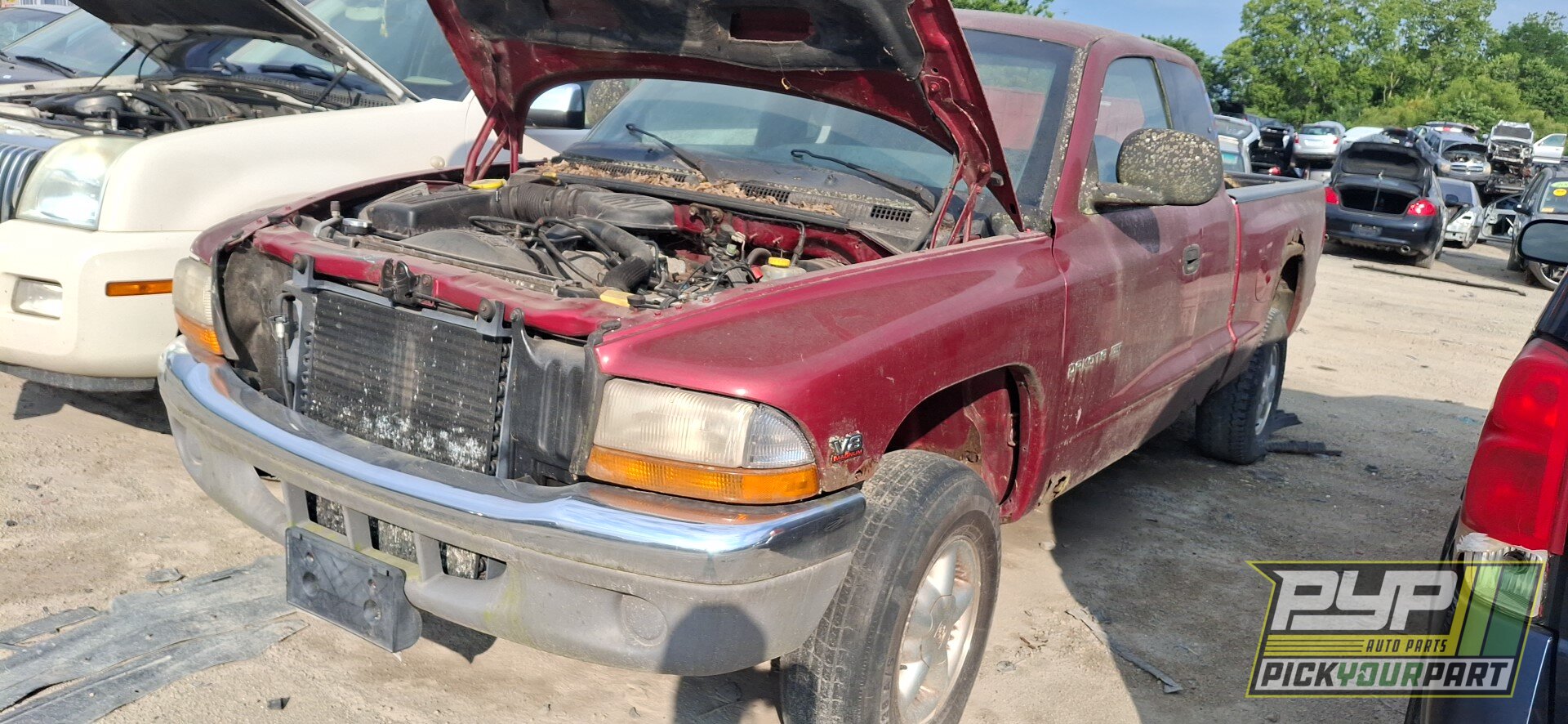 Photo of 1999 Dodge Dakota