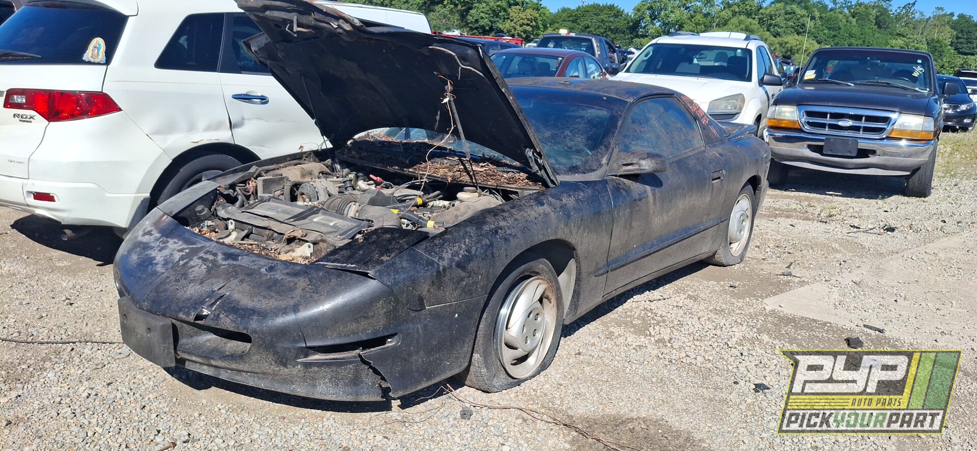 Photo of 1994 Pontiac Firebird