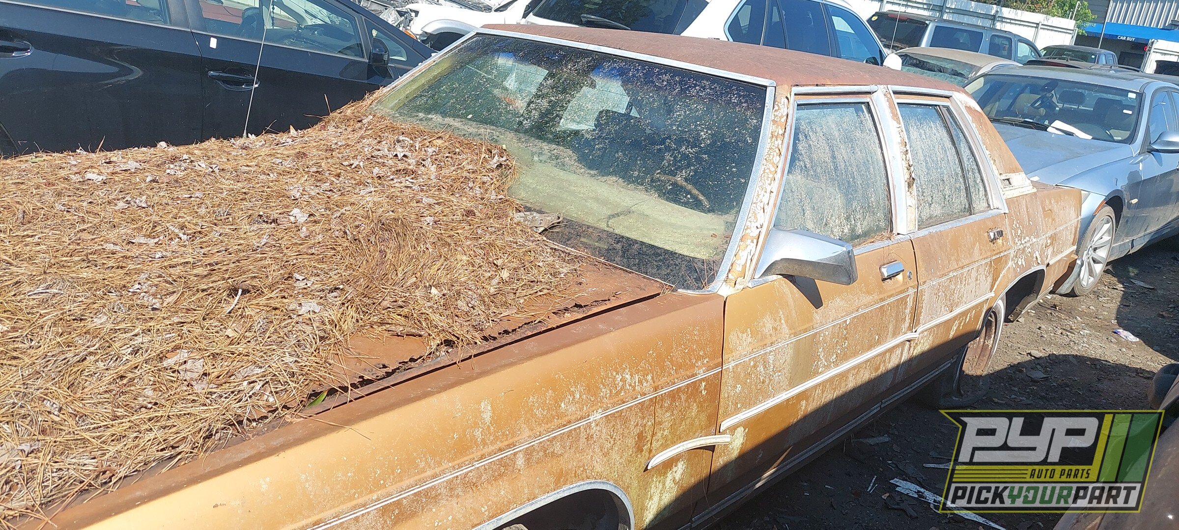 Photo of 1979 Ford Ltd